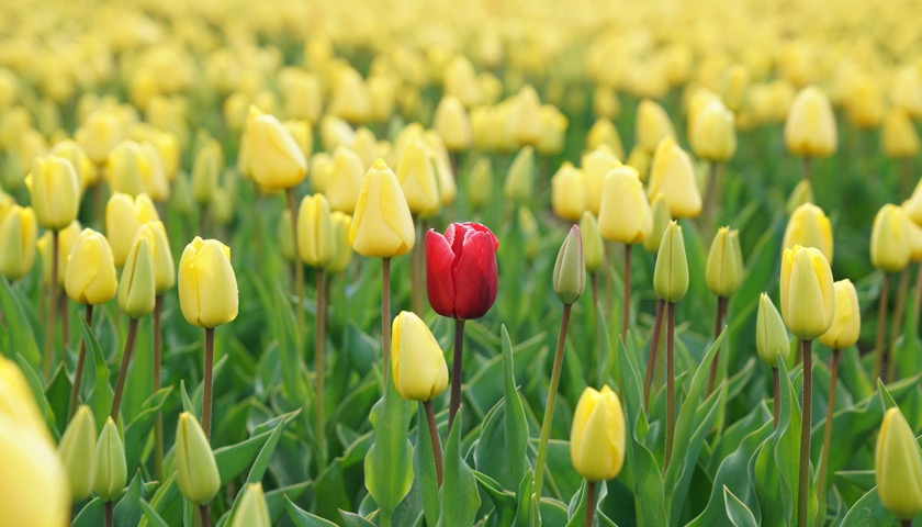 In 5 stappen naar een onderscheidende positionering